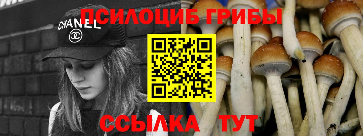 Сарапул  Псилоцибиновые грибы прущие грибы  Вход с VPN 